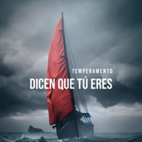 Dicen que tu eres - Single - Temperamento