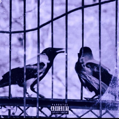 Fly Away (feat. Dimitri Devaughn & Longway) - Single