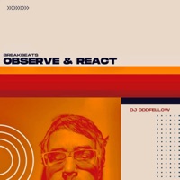 Observe & React (Breakbeats) - Single - DJ OddFellow