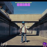 Crime (feat. CocoNight) - Single - Malacarne