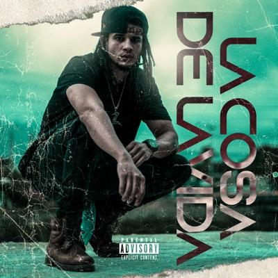 La Cosa de la Vida - Single