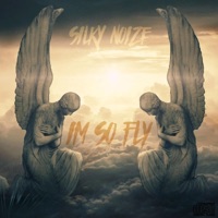 Im So Fly - Single - Silky Noize