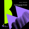 Something Like This / Moonlight - EP - Night Breeze & Darkly A.M. new Single