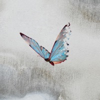 Stay Home - Single - Sal AngeL