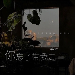 你忘了带我走 - Single