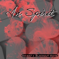 In Spirit (feat. Blackout Noise) - Single - Avaraj