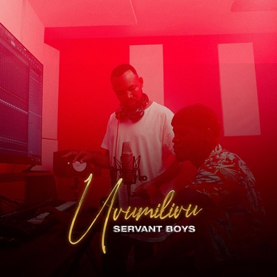 Uvumilivu - Single