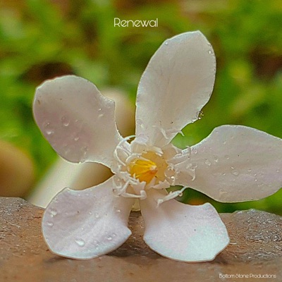 Renewal (feat. Dr. Rick Boswell) - Single