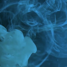 Peste Tot Freestyle Tuia