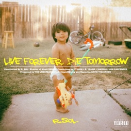 Sometimes, I Fly R. SOL