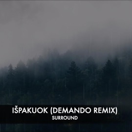 Išpakuok (Demando Remix) (feat. Demando) SURROUND