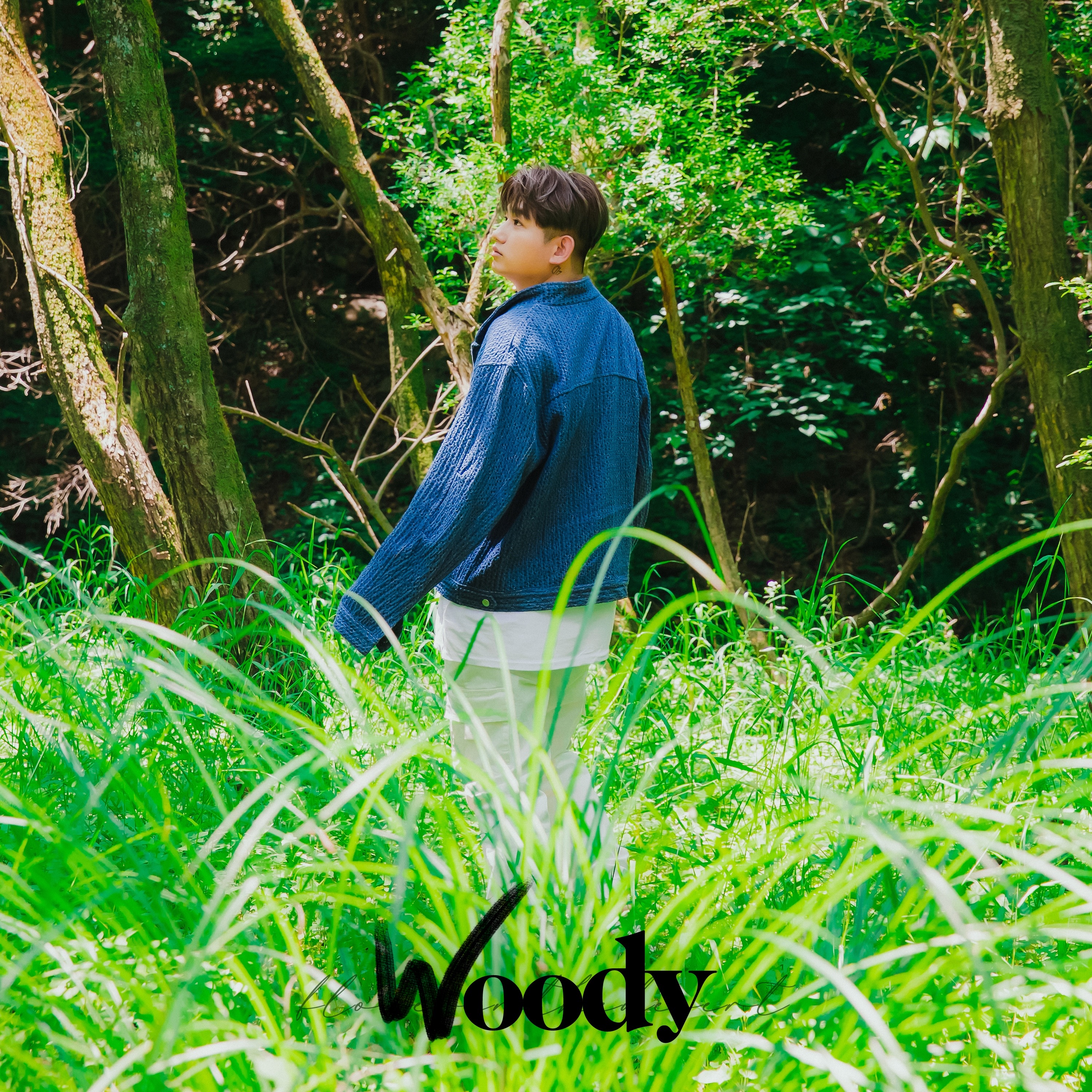 Woody - Flower in the Desert (Kor Version)