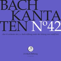 J.S. Bach: Cantatas, Vol. 42 (Live) - Chor der J.S. Bach-Stiftung, Orchester der J.S. Bach-Stiftung & Rudolf Lutz