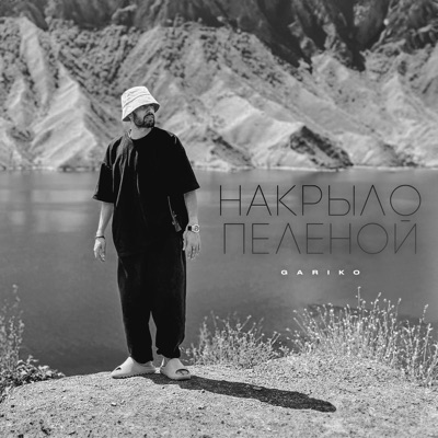 Накрыло пеленой - Single