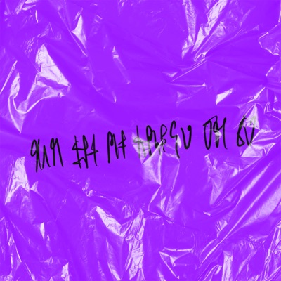 NON ME NE FREGA UN CA - Single