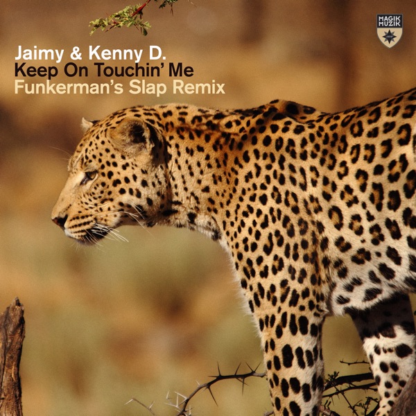 Keep on Touchin' Me (Funkerman’s Slap Remix) - Single