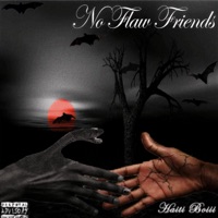 No Flaw Friends - Single - Haiti Boiii