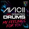 Avicii & Sebastien Drums