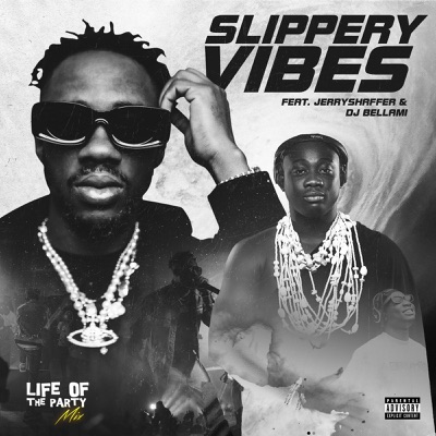 Life Of The Party Mix: Jerry Shaffer x Dj Bellami, Slippery Vibes (DJ Mix)