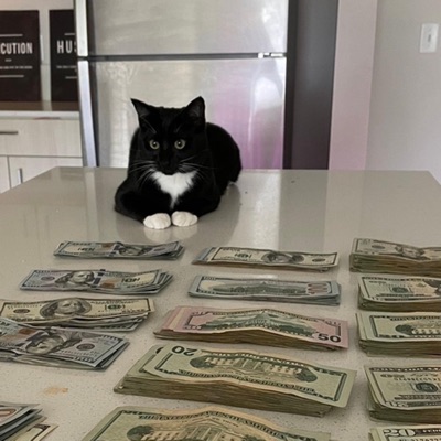 Flyin (feat. Mental & Hallownest) - Single