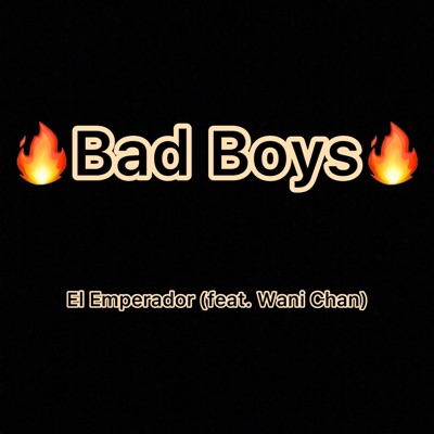 Bad Boys (feat. Wani Chan) - Single