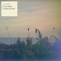 In the Midst of Other Sounds - Lutes Jennings