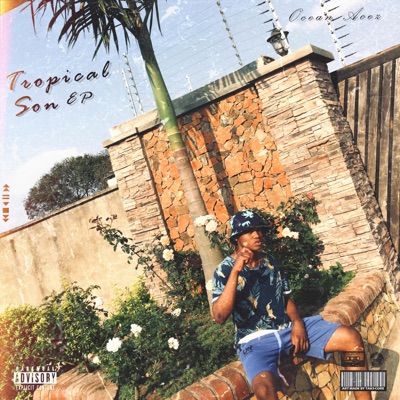 Pirates in the Hillz - EP