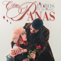 Como Panas - Single - Lobos & Blacksiel