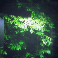 Mental Health - Single - Illuwn