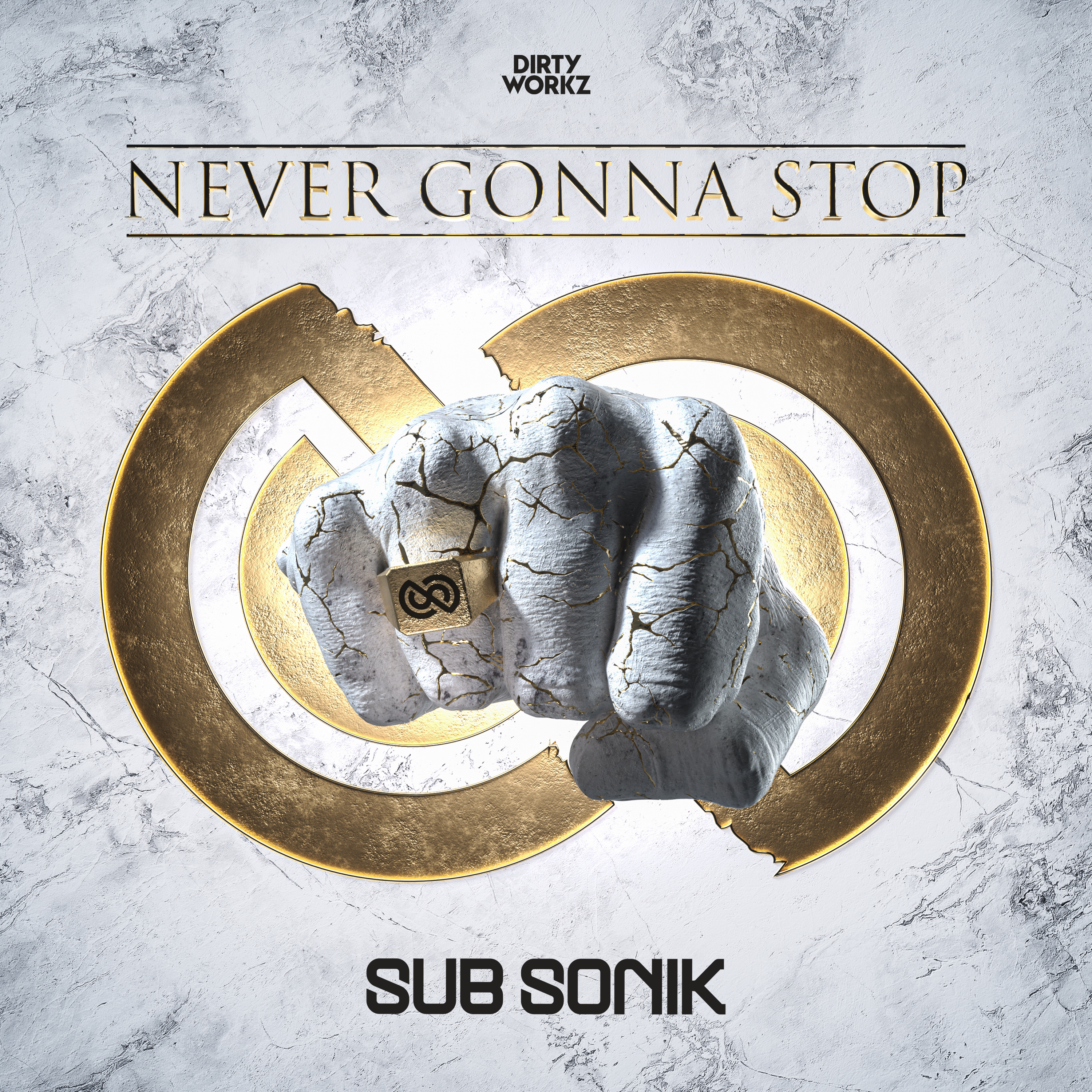 Never Gonna Stop - Single