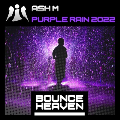 Ash M - Purple Rain (Andy Whitby edit)