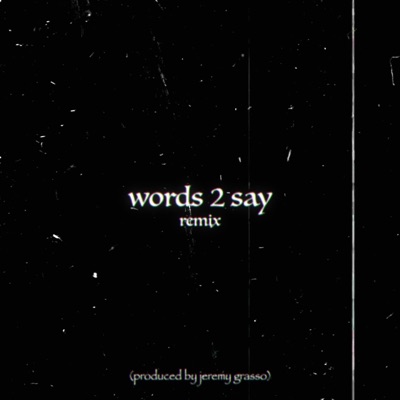 Words 2 Say V2 - Single