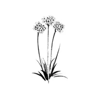 Herba De Namorar — Sofía Espiñeira