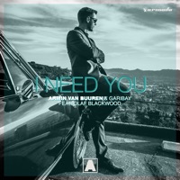 I Need You (feat. Olaf Blackwood) - Armin van Buuren & Garibay