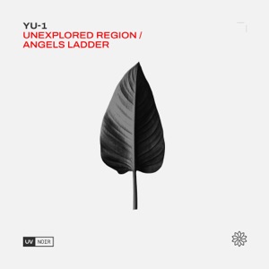 Unexplored Region / Angel's Ladder - EP