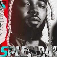 Splenda 2 - CvpSet Martae