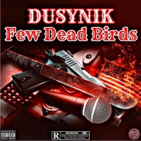 Few Dead Birds - Single - Dusynik