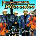 HUAPANGUEROS DIFERENTES