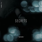 Secrets artwork