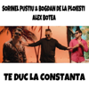 Te Duc La Constanta (feat. Bogdan DLP & Alex Botea) - Sorinel Pustiu