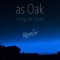 Living Like Ghosts (Space Keys Remix) - as Oak lyrics