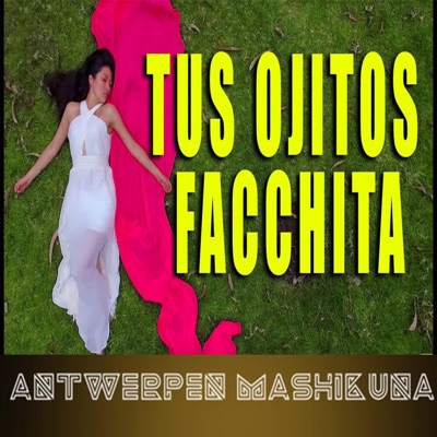 MUSICA ANDINA MIX VOL 3 - Tus ojitos facchita Antwerpen Mashikuna