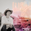 Why -We'll Fall in Love Again- (2nd Sabi -Guitar Solo Short Ver.-) [Instrumental] - hazzie