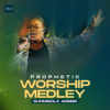 Prophetic Worship Medley, Vol. 2 - EP - Sunmisola Agbebi