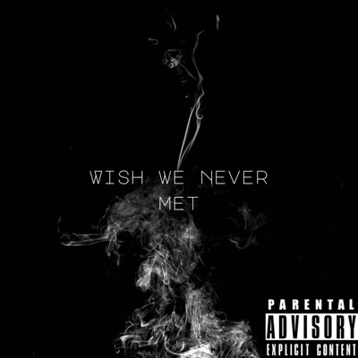 Wish We Never Met - Single