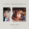 Hippocampe Fou Demi-tour (feat. Hippocampe Fou) Demi-tour (feat. Hippocampe Fou) - Single