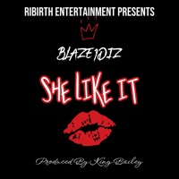 She Like It - Single - Blaze1diz