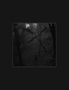 聆聽 DAMAGING、觀看音樂影片、閱讀小傳、查看巡演日期等！