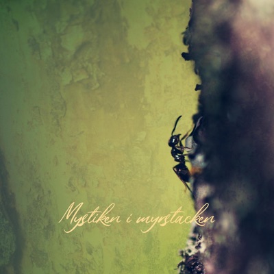 MYSTIKEN I MYRSTACKEN (feat. Olss Beats) - EP
