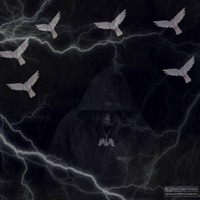 Dear Diary - LBR Jay